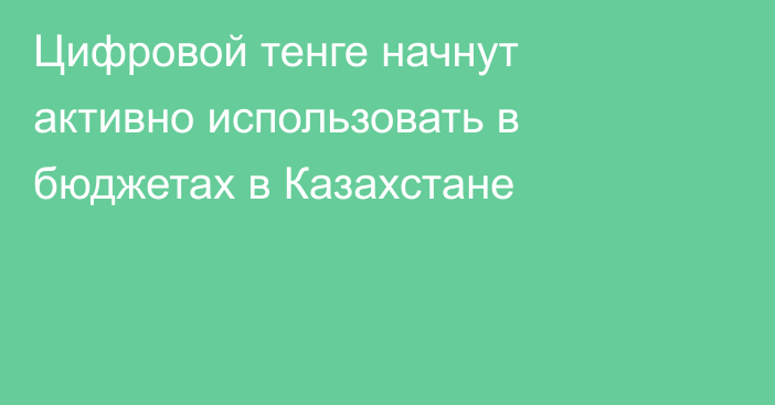 Цифровой тенге начнут активно использовать в бюджетах в Казахстане