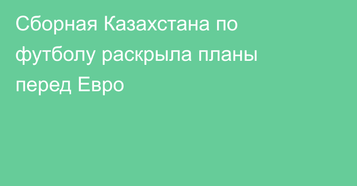 Сборная Казахстана по футболу раскрыла планы перед Евро