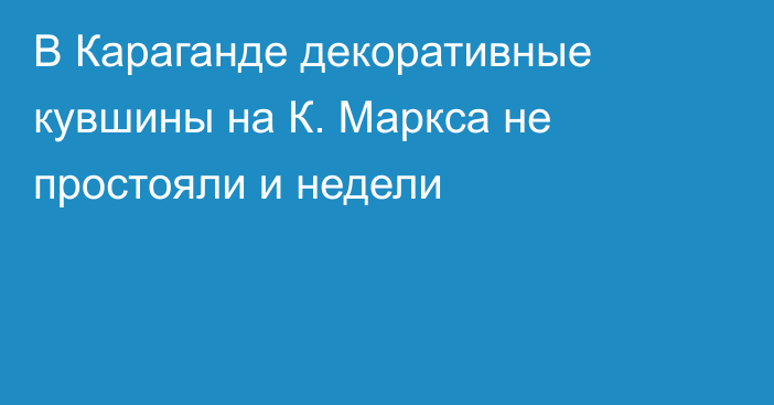В Караганде декоративные кувшины на К. Маркса не простояли и недели