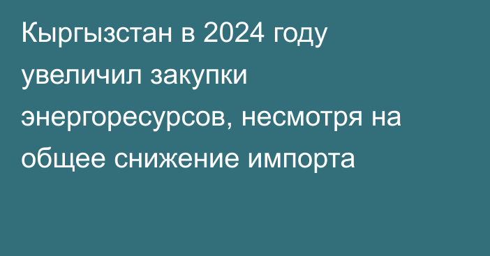Кыргызстан в 2024 году увеличил закупки энергоресурсов, несмотря на общее снижение импорта