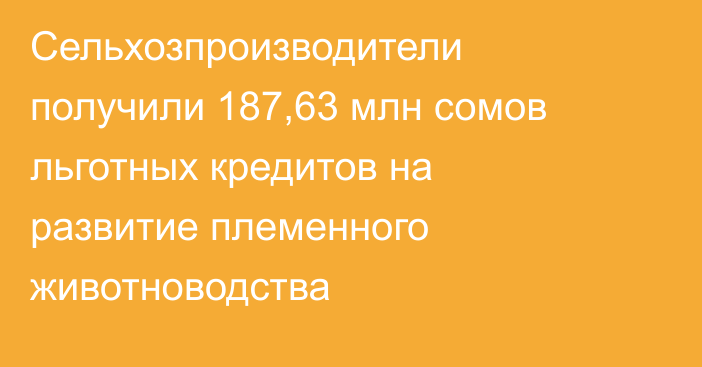 Сельхозпроизводители получили 187,63 млн сомов льготных кредитов на развитие племенного животноводства
