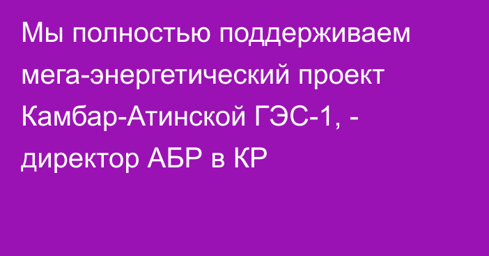 Мы полностью поддерживаем мега-энергетический проект Камбар-Атинской ГЭС-1, - директор АБР в КР 