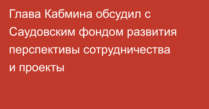 Глава Кабмина обсудил с Саудовским фондом развития перспективы сотрудничества и проекты
