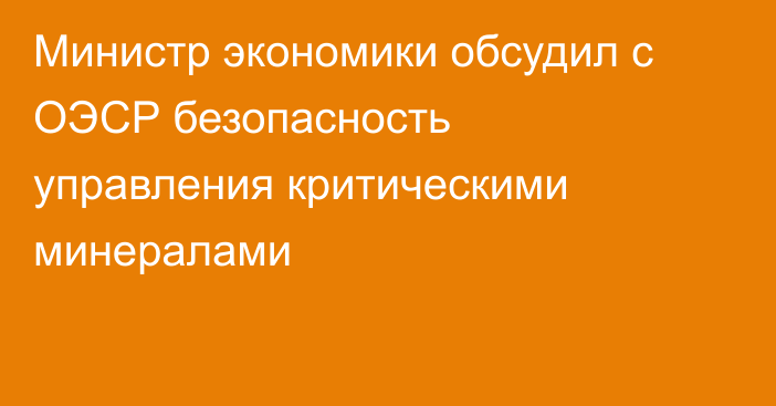 Министр экономики обсудил с ОЭСР безопасность управления критическими минералами