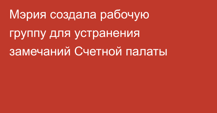 Мэрия создала рабочую группу для устранения замечаний Счетной палаты