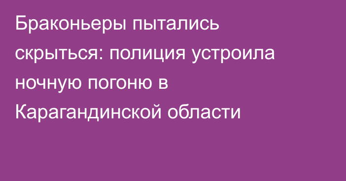 Браконьеры пытались скрыться: полиция устроила ночную погоню в Карагандинской области