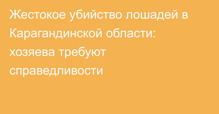 Жестокое убийство лошадей в Карагандинской области: хозяева требуют справедливости
