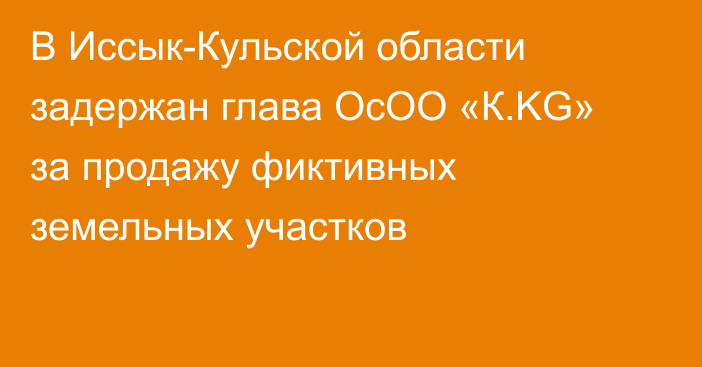 В Иссык-Кульской области задержан глава ОсОО «К.KG» за продажу фиктивных земельных участков