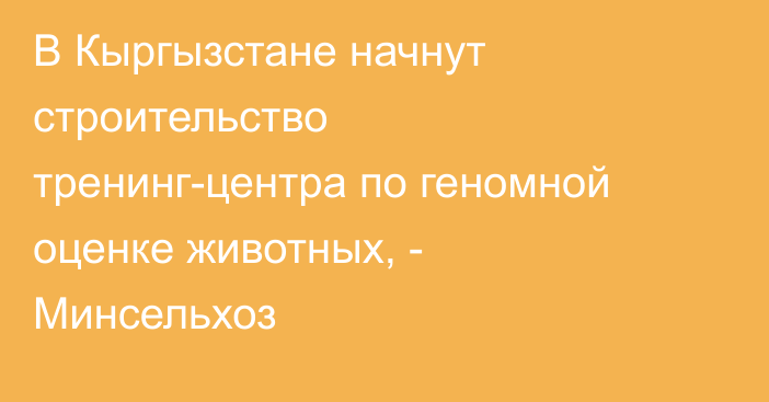 В Кыргызстане начнут строительство тренинг-центра по геномной оценке животных, - Минсельхоз