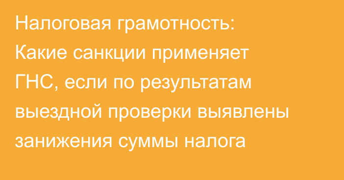 Налоговая грамотность: Какие санкции применяет ГНС, если по результатам выездной проверки выявлены занижения суммы налога