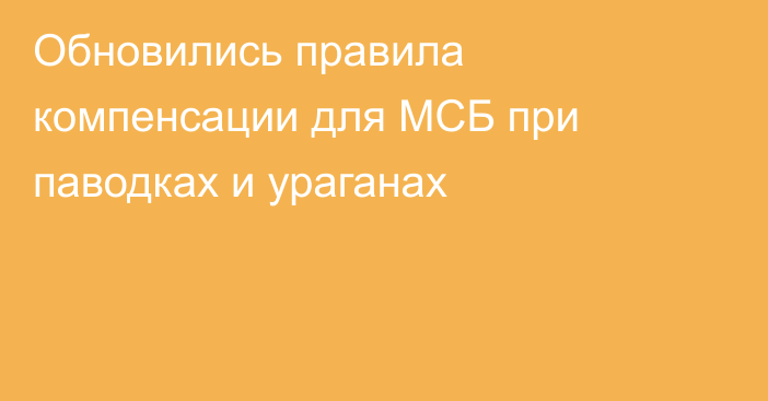 Обновились правила компенсации для МСБ при паводках и ураганах