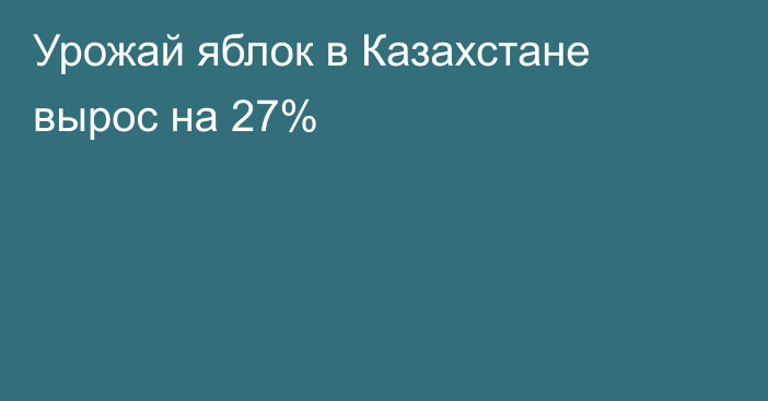 Урожай яблок в Казахстане вырос на 27%