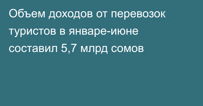 Объем доходов от перевозок туристов в январе-июне составил 5,7 млрд сомов