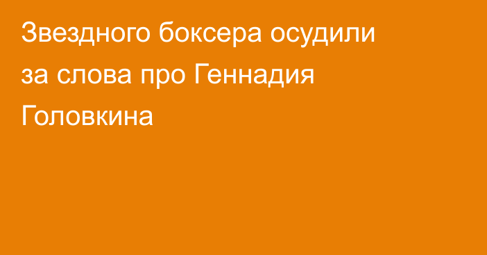 Звездного боксера осудили за слова про Геннадия Головкина
