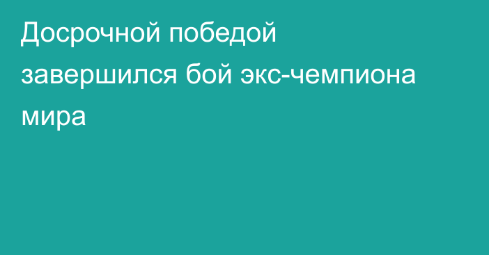 Досрочной победой завершился бой экс-чемпиона мира