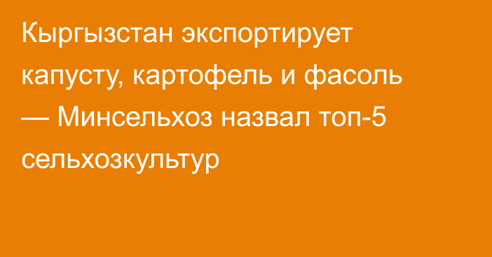 Кыргызстан экспортирует капусту, картофель и фасоль — Минсельхоз назвал топ-5 сельхозкультур