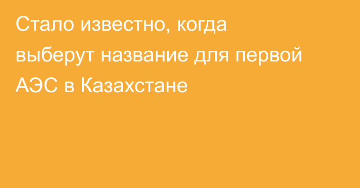 Стало известно, когда выберут название для первой АЭС в Казахстане
