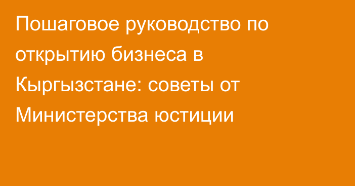 Пошаговое руководство по открытию бизнеса в Кыргызстане: советы от Министерства юстиции