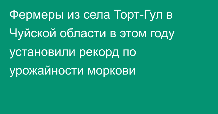 Фермеры из села Торт-Гул в Чуйской области в этом году установили рекорд по урожайности моркови