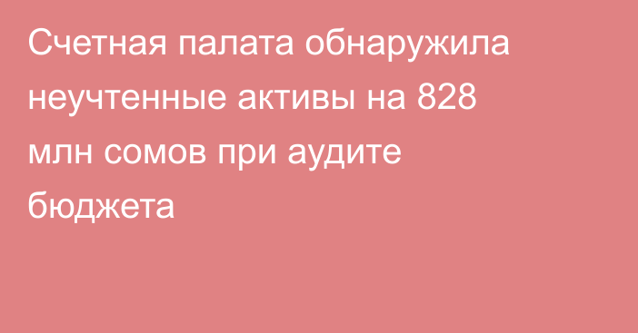 Счетная палата обнаружила неучтенные активы на 828 млн сомов при аудите бюджета