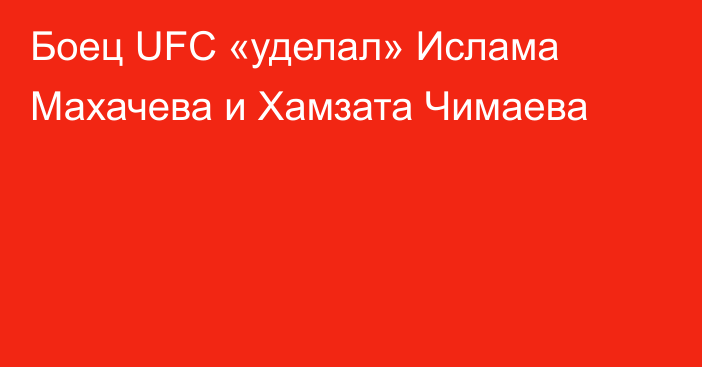 Боец UFC «уделал» Ислама Махачева и Хамзата Чимаева