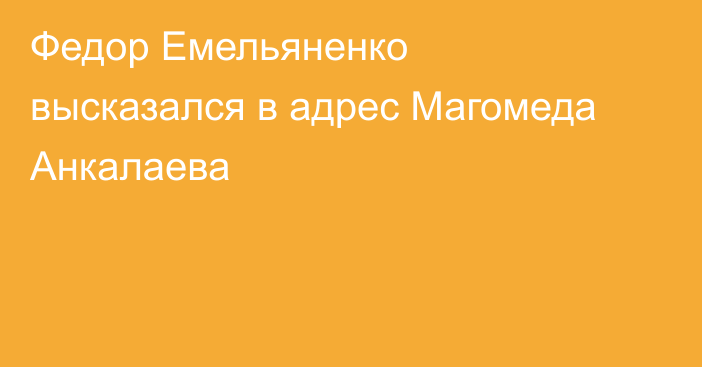 Федор Емельяненко высказался в адрес Магомеда Анкалаева