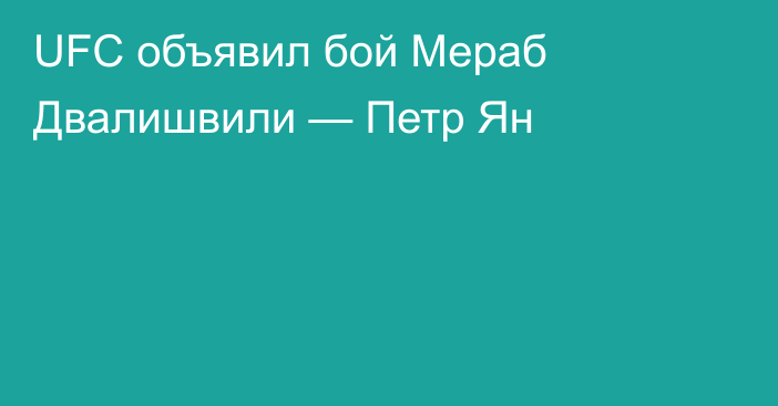 UFC объявил бой Мераб Двалишвили — Петр Ян