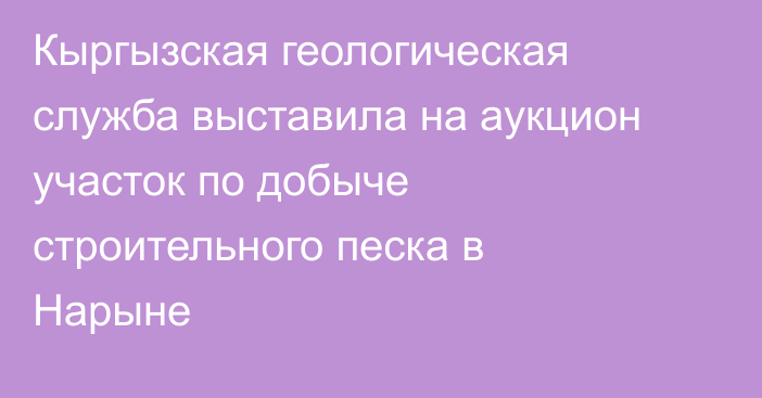 Кыргызская геологическая служба выставила на аукцион участок по добыче строительного песка в Нарыне