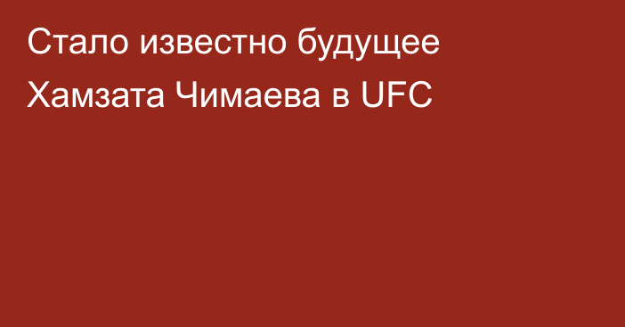 Стало известно будущее Хамзата Чимаева в UFC
