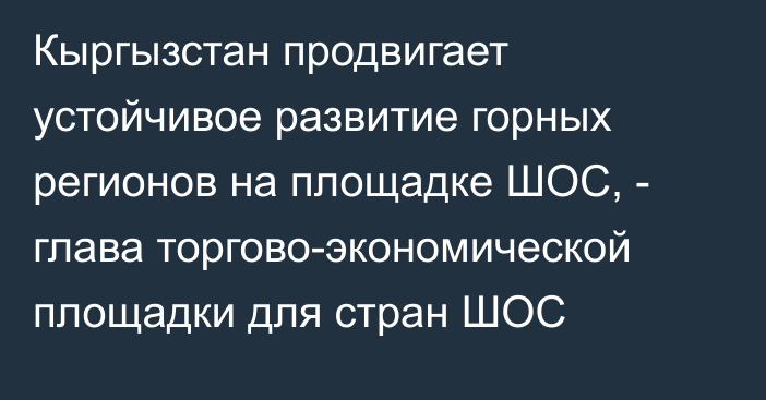 Кыргызстан продвигает устойчивое развитие горных регионов на площадке ШОС, - глава торгово-экономической площадки для стран ШОС