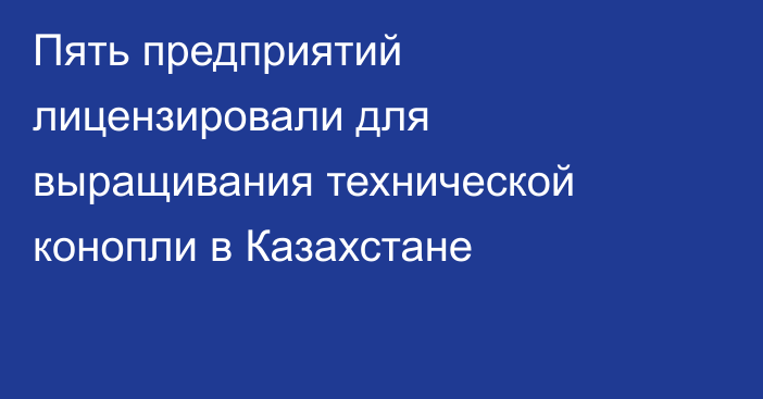 Пять предприятий лицензировали для выращивания технической конопли в Казахстане