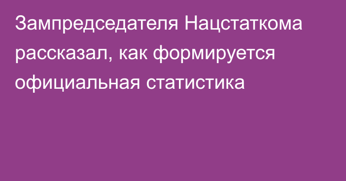 Зампредседателя Нацстаткома рассказал, как формируется официальная статистика