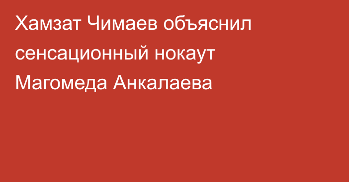 Хамзат Чимаев объяснил сенсационный нокаут Магомеда Анкалаева