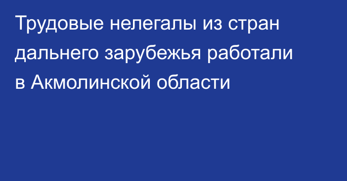 Трудовые нелегалы из стран дальнего зарубежья работали в Акмолинской области