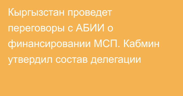 Кыргызстан проведет переговоры с АБИИ о финансировании МСП. Кабмин утвердил состав делегации