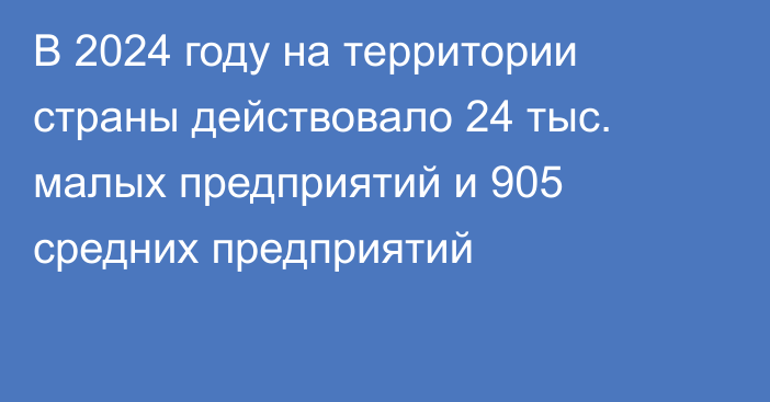 В 2024 году на территории страны действовало 24 тыс. малых предприятий и 905 средних предприятий