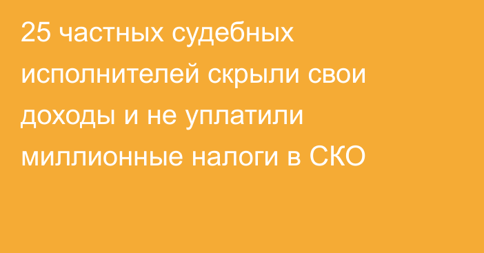 25 частных судебных исполнителей скрыли свои доходы и не уплатили миллионные налоги в СКО