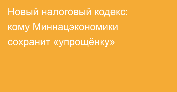 Новый налоговый кодекс: кому Миннацэкономики сохранит «упрощёнку»