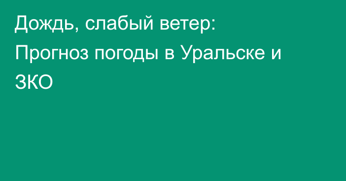 Дождь, слабый ветер: Прогноз погоды в Уральске и ЗКО