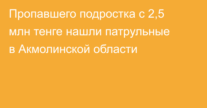 Пропавшего подростка с 2,5 млн тенге нашли патрульные в Акмолинской области