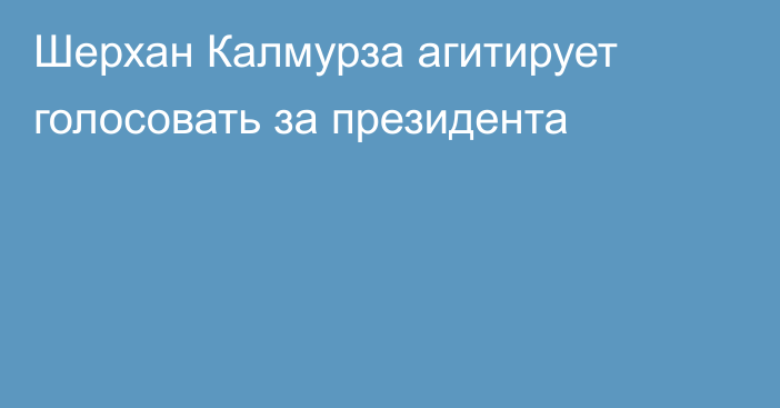 Шерхан Калмурза агитирует голосовать за президента