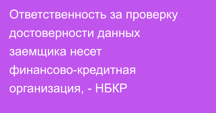 Ответственность за проверку достоверности данных заемщика несет финансово-кредитная организация, - НБКР