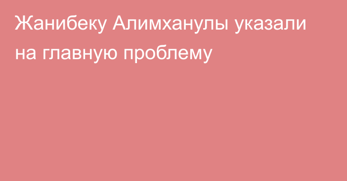 Жанибеку Алимханулы указали на главную проблему