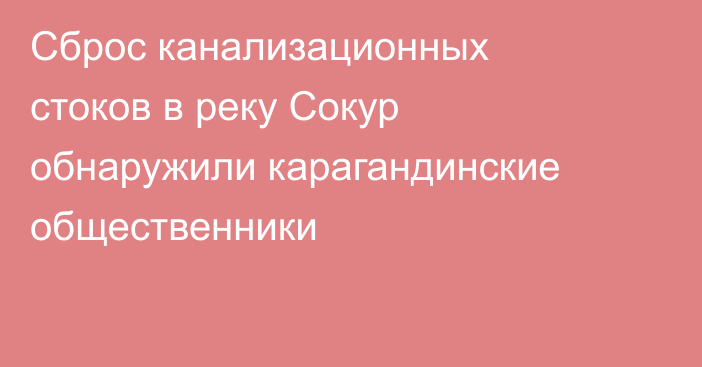 Сброс канализационных стоков в реку Сокур обнаружили карагандинские общественники