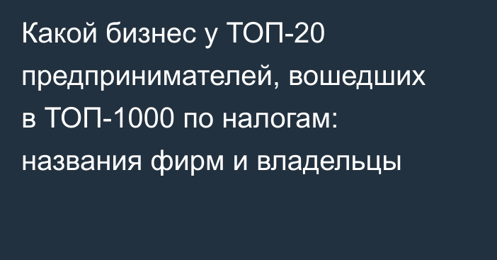 Какой бизнес у ТОП-20 предпринимателей, вошедших в ТОП-1000 по налогам: названия фирм и владельцы