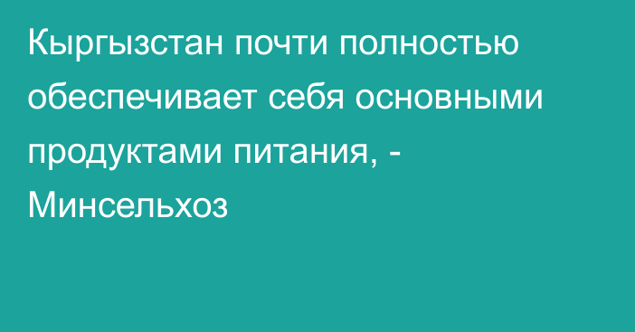 Кыргызстан почти полностью обеспечивает себя основными продуктами питания, - Минсельхоз 