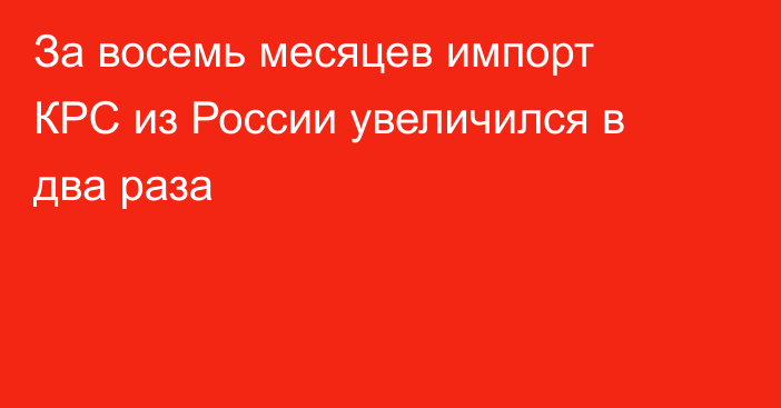 За восемь месяцев импорт КРС из России увеличился в два раза