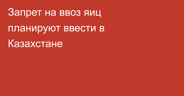 Запрет на ввоз яиц планируют ввести в Казахстане