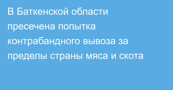 В Баткенской области пресечена попытка контрабандного вывоза за пределы страны мяса и скота