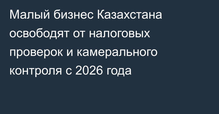Малый бизнес Казахстана освободят от налоговых проверок и камерального контроля с 2026 года